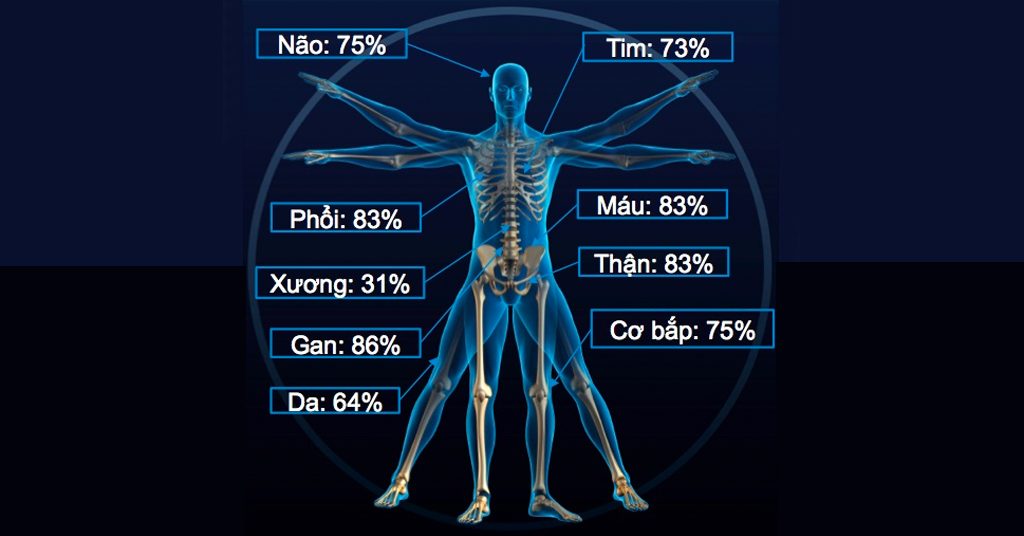 Vai trò của nước đối với tế bào