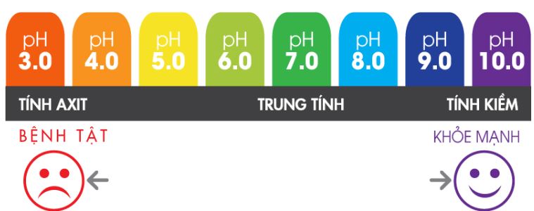 Kiềm hóa cơ thể là gì?